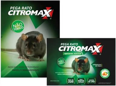 Ratoeira adesiva pega rato camundongo kit com 12 unidades