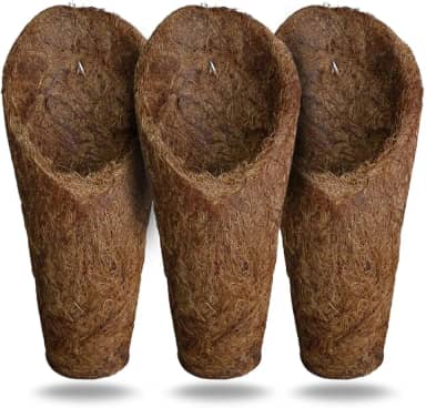 Kit 3 vaso para Orquídeas em Fibra de Coco modelo Concha, tamanho "M", Resistente à Água, Leve e Durável, para Jardinagem e Decoração