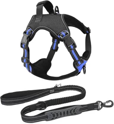 Coleira Peitoral Antipuxão Cães Power MADOG + Guia Elástica com Cinto de Segurança (Azul, M)