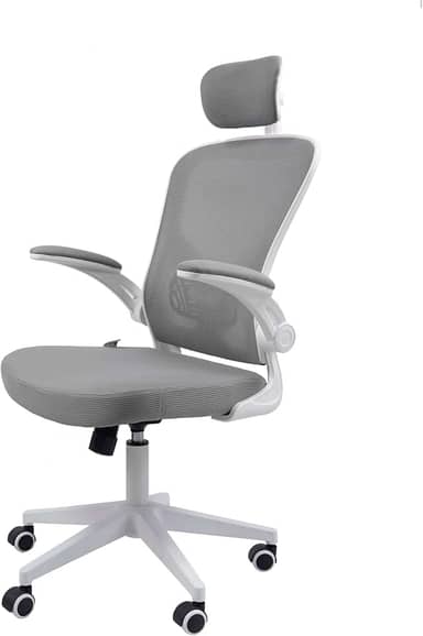 Cadeira Ergonômica Eurynom, Giratória, para Escritório e Home Office, com Encosto Reclinável, Braços Pivotantes, Apoio de Cabeça, Apoio Lombar (Cinza)