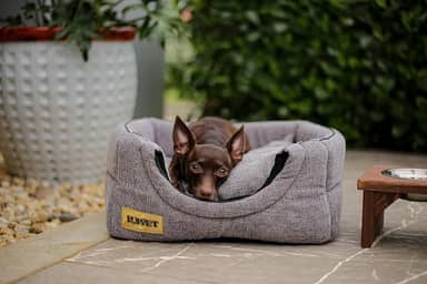 Cama iglu toca para cachorro e gato, cama 2x1 para cachorro ou gato com almofada, TAM. G Luxo