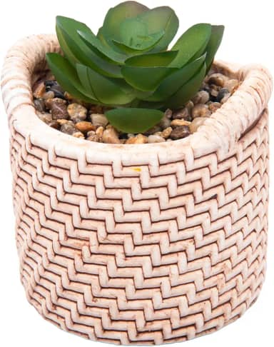 WOLFF - Cachepot de Cerâmica com Suculenta Palha 7,5cm x 7,5cm X 9,5cm