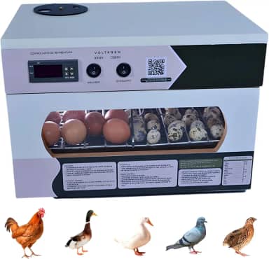 Chocadeira Automática 35 a 45 Ovos, Incubadora Digital com Ovoscópio, Controle por APP, para Galinha e Codorna