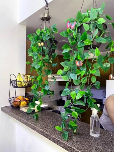 2 peças de plantas artificiais falsas para pendurar trepadeiras pothos artificiais para parede, quarto, jardim, decoração de quarto (sem cestas)