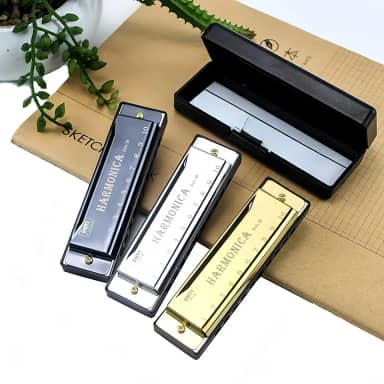 Gaita de 10 furos com estojo, instrumento musical de órgão de boca em C Key Blues para iniciantes tocando gaita como presente (ouro)