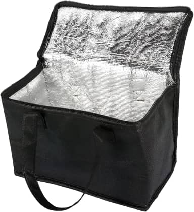 Bolsa Térmica 5L Preta com Isolamento Interno para Viagem, Praia, Camping e Passeios JustGoFit