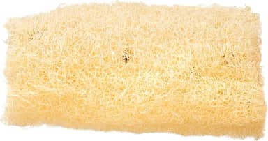 Bonitta Bucha Vegetal 625Bt 1 Unidade