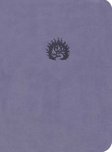 A Bíblia de Estudo da Fé Reformada: Capa Luxo Lavanda e Estojo