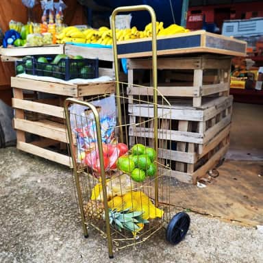 Carrinho de Compras Dobravél para Feira e Supermercado 4 Tubo PRATA com 2 Rodas Reforçadas Águia (Dourado)