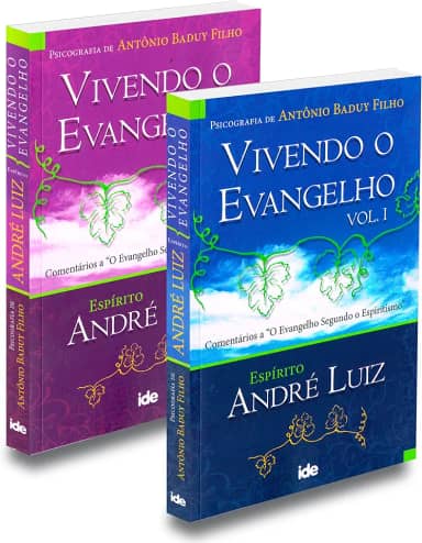 Kit Vivendo o Evangelho - Volumes 1 e 2