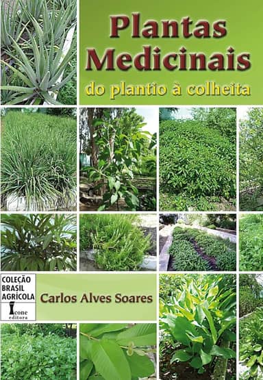 Plantas medicinais. do plantio à colheita