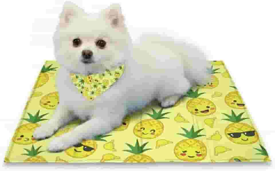 Tapete Gelado Refrescante para Pet – Alívio Imediato no Calor | Gel Ativado por Pressão | Seguro, Dobrável e Atóxico (Pequeno - 40x50cm, Abacaxi Good Vibes)