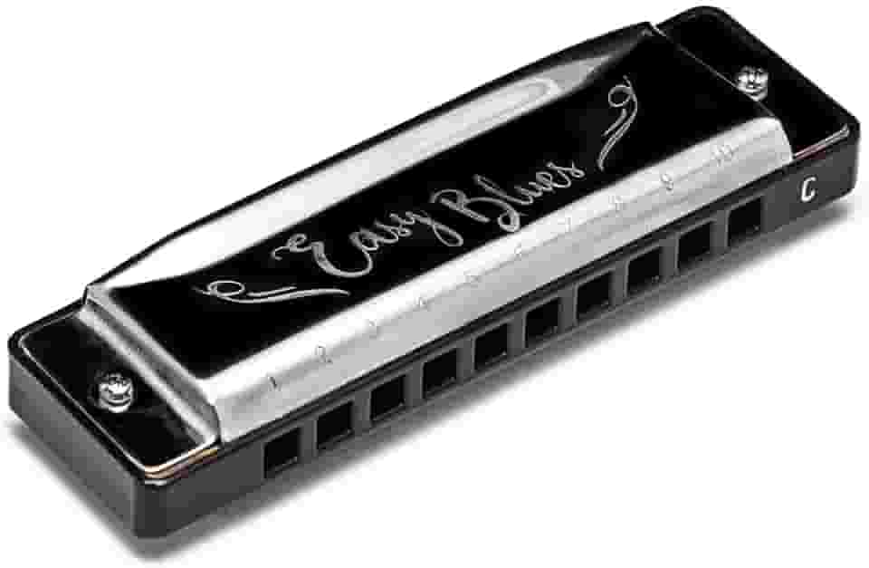 Gaita De Boca Harmonica Hering Easy Blues 4420c Dó Iniciante