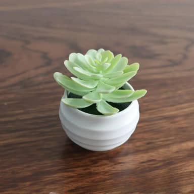 Mini plantas suculentas artificiais bonsai planta suculenta artificial vaso de mesa ornamentos de vegetação decoração de casa 5,5 x 8,5 cm (verde branco)