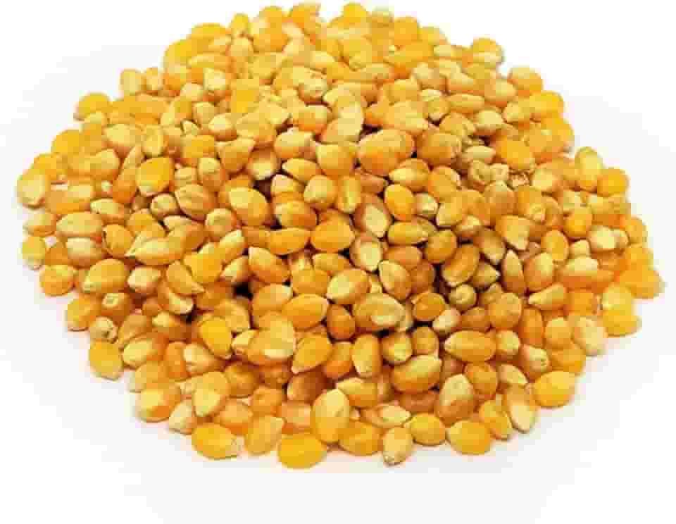 Milho de Pipoca Nacional (Pacote 1 kg)