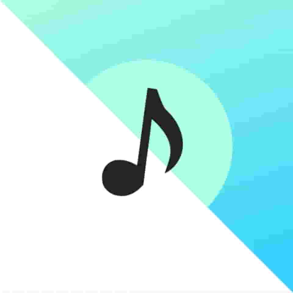 TunerApp - Tuner and Metronome