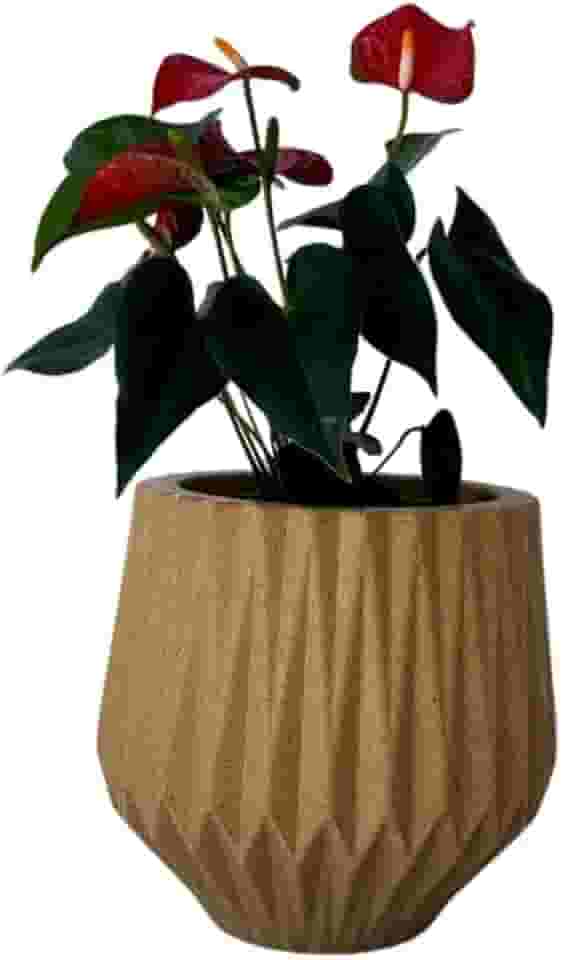 Vaso de Planta Origami P 22 cm de Altura para Planta de Pequeno Porte (Bege)