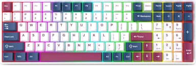 BOYI Teclado mecânico sem fio TK96 RGB Hot Swap, 2,4 GHz/BT5.0/com fio N-Key Rollover personalizado ergonômico tamanho completo 100 teclas para jogos Windows PC/Mac (cor branca)