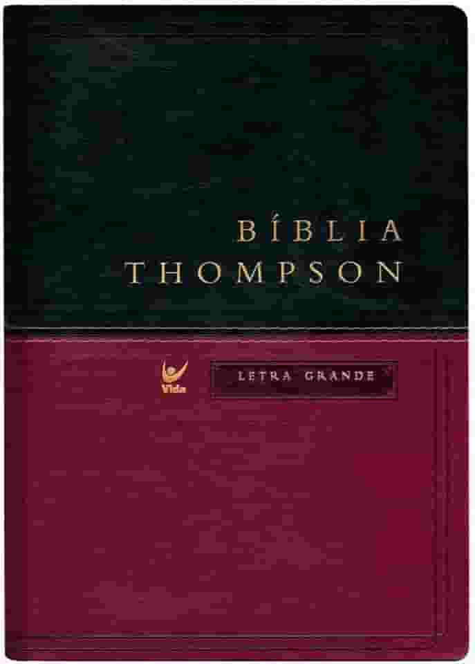Bíblia Thompson - AEC - Letra Grande - Verde e Vinho
