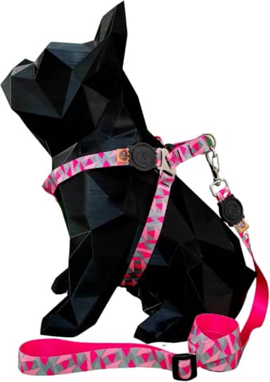 Coleira Peitoral Com Guia Longa De 2 Metros Para Cachorro Pequeno e Medio (TRIANGULAR ROSA, Tamanho P: circunferência 28 cm a 38 cm de tórax)
