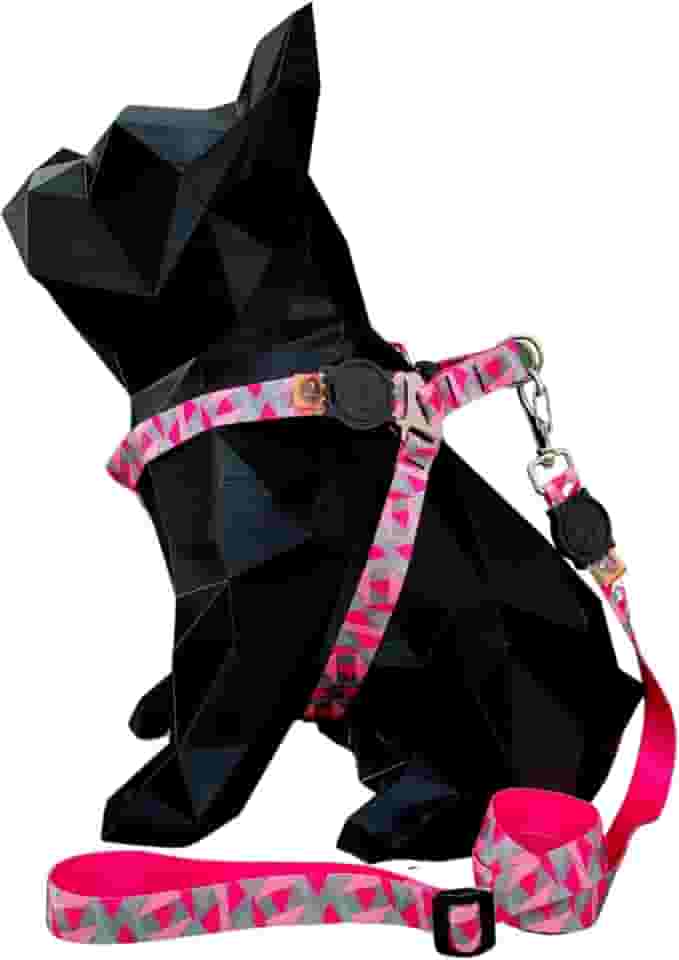Coleira Peitoral Com Guia Longa De 2 Metros Para Cachorro Pequeno e Medio (TRIANGULAR ROSA, Tamanho P: circunferência 28 cm a 38 cm de tórax)