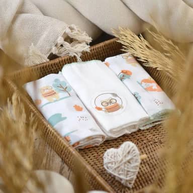 Papi Textil Fralda Bordados Karinho Estampada E Bordada 70Cm X 70Cm Contém 03 Un