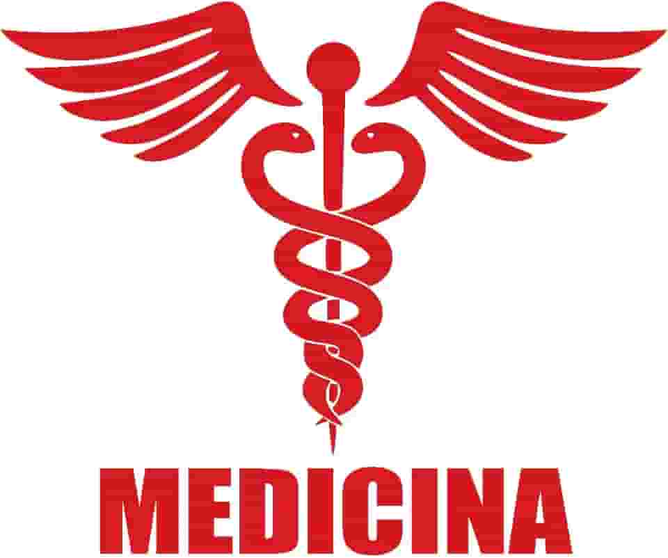 Adesivo Profissão Medicina para Estudantes e Médicos Ideal para notebook carro portas vidros Paredes vários tamanhos (VERMELHO, 15X12,5cm)