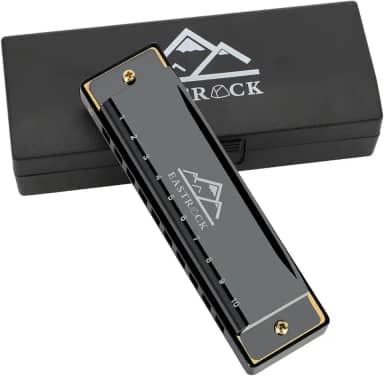 EastRock Blues Harmonica boca órgão 10 furos C chave com capa, gaita diatônica para jogadores profissionais, iniciantes, estudantes, adultos, amigos, presente preto