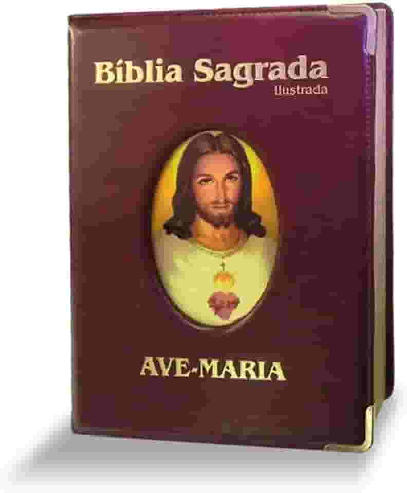 Bíblia ilustrada luxo - grande - marrom