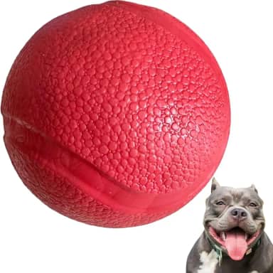 Brinquedo Para Cães Bola Lisa Grande Maciça Extra Forte 95mm Cachorro destruidor Grande Hard (Vermelho)