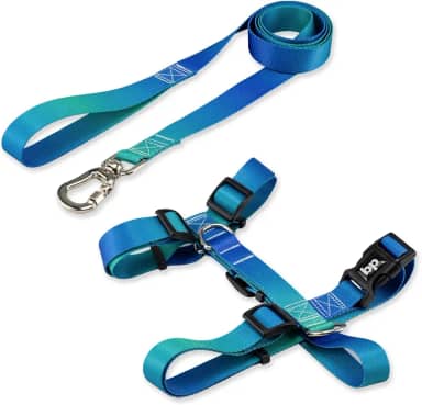 Coleira Peitoral Com Guia Para Cachorro Cães Modelo Tradicional H Tamanho Porte Grande Médio Pequeno (M, Lake)