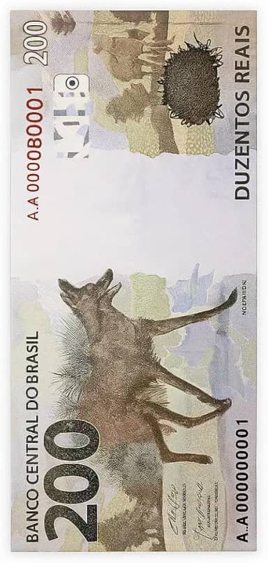 Toalha de Praia e Piscina com Estampa de Nota 200 Reais, Design Banco Central do Brasil, 70x140cm, Cores Vivas