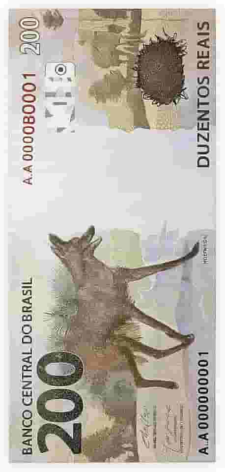 Toalha de Praia e Piscina com Estampa de Nota 200 Reais, Design Banco Central do Brasil, 70x140cm, Cores Vivas