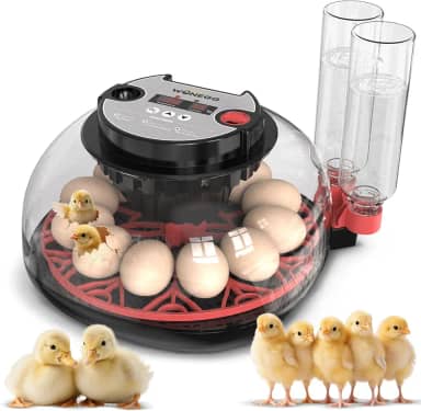 Chocadeira Para 12 Ovos, Viradora Automática Com Controle De Temperatura E Umidade, Chocadeira, Alarme Baixo, Frango, Pato, Peru, Ganso