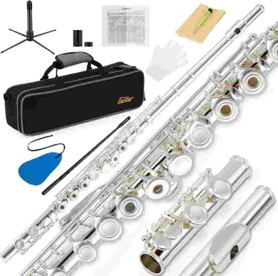 Eastar Flauta Open Hole de 16 teclas para crianças iniciantes com gráfico de dedos, kit de limpeza, suporte, estojo, luvas, haste de afinação, prata, EFL-2