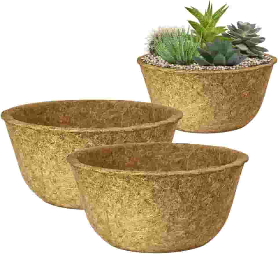 Kit 2 Vaso Cuia Natural Xaxim de Fibra de Coco 19x12cm Ecológico Pequeno Único Para Planta Suculenta Cacto e Rosa do Deserto