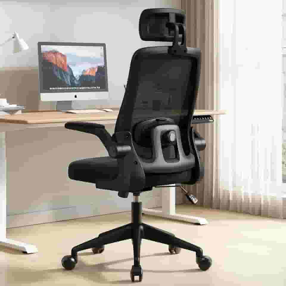 Cadeira de Escritório Ergonômica, Suporte 120kg, Ajuste Lombar, Apoio de Cabeça, Tela Mesh Premium, Giratória, Home Office (Preta)