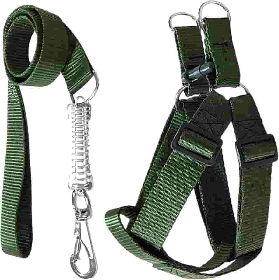 Coleira Peitoral Americano Para Cachorros Médio Grande Ajustável (Verde, G (30mm))