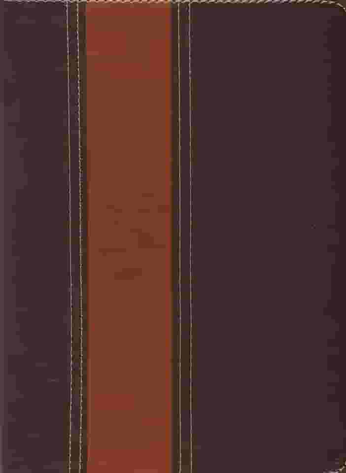 BIBLIA AEC DE ESTUDO THOMPSON MARRON ESCURO CLARO