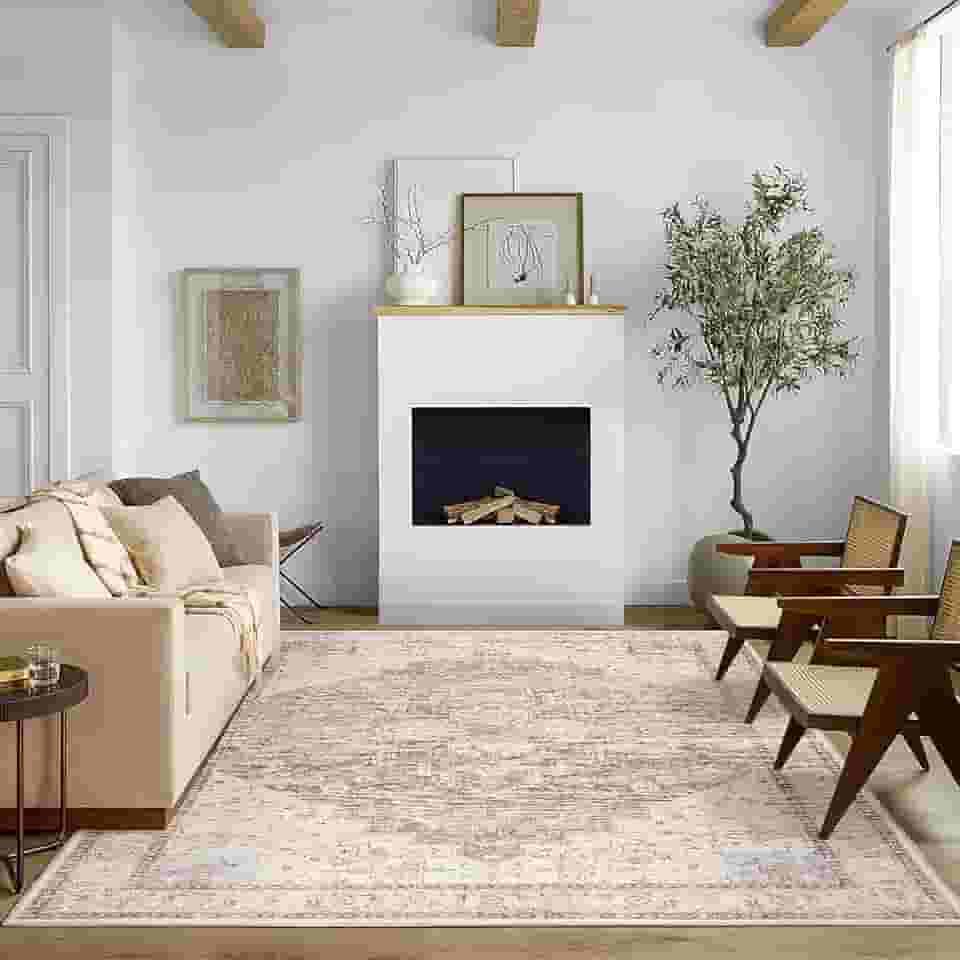 Boho Farmhouse Tapete de quarto lavável, fácil de limpar, resistente a manchas, vintage, rústico, neutro, persa, para sala de jantar, embaixo da mesa, marrom claro bege com estampa de